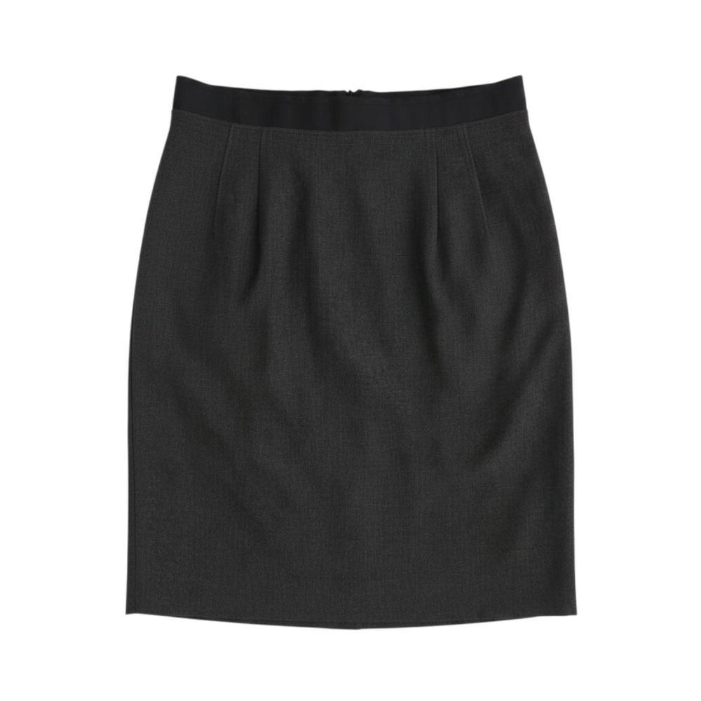 Ann Taylor LOFT Skirt Womens 2 Gray Pleated Ribbon Waist Exposed Zipper Career